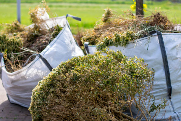 Best Shed Removal  in Stateburg, SC