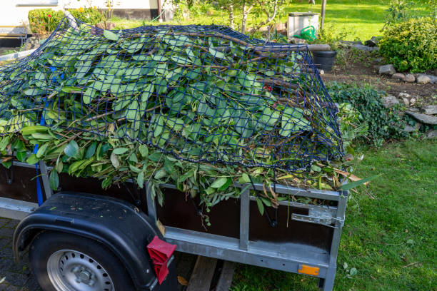 Best Estate Cleanout  in Stateburg, SC